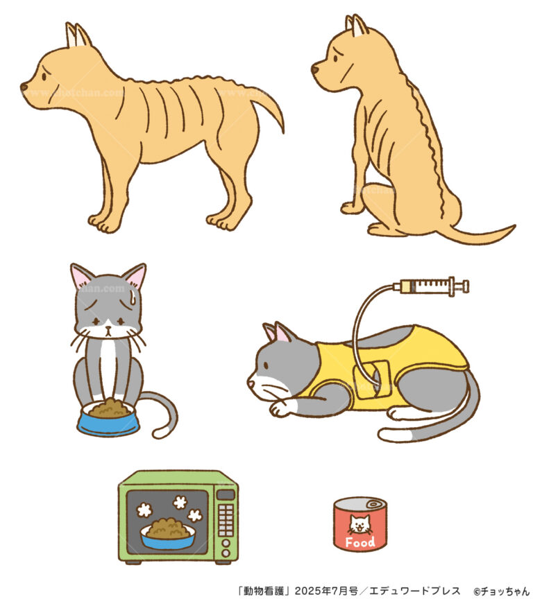 動物看護専門月刊誌 動物看護」2025年7月号／エデュワードプレス